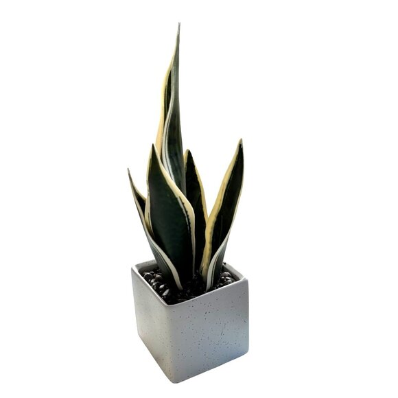 Artificial Snake Plant In Speckled White Square Ceramic Pot - Picture 2 of 6